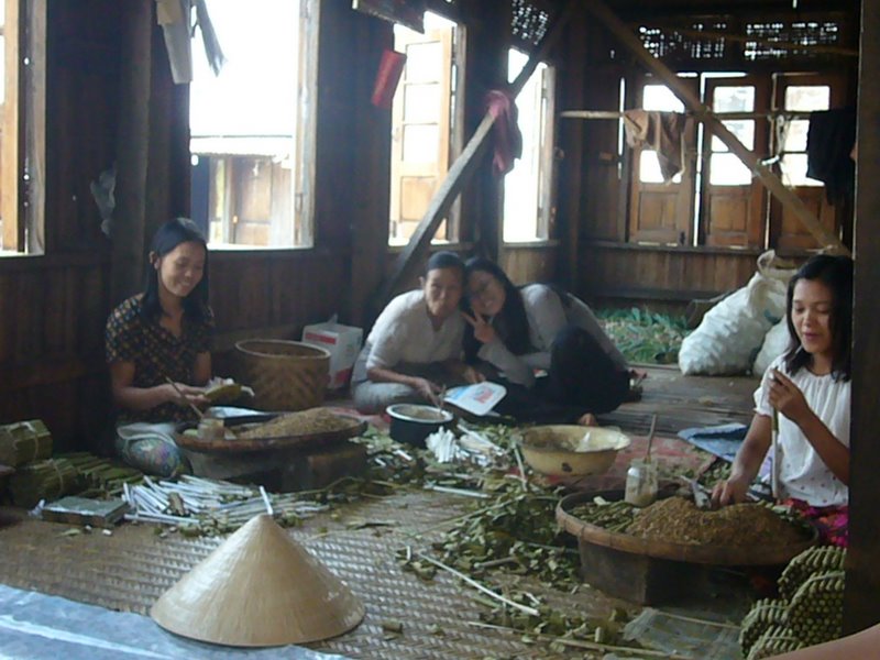 Travel - Myanmar - Inle Lake - Second Boat Trip - The Drivers Village - Drivers Family House and Fields